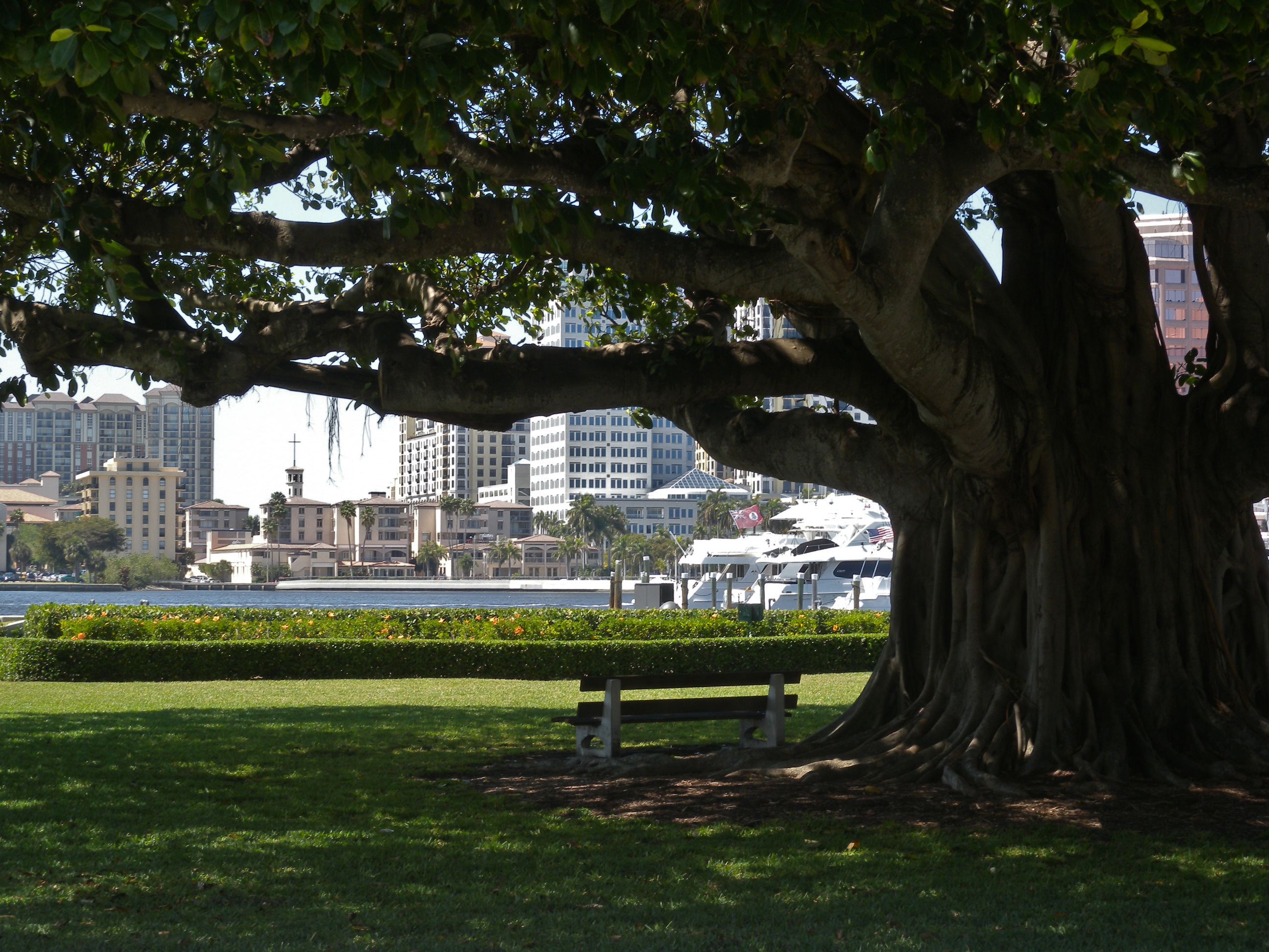 Parks